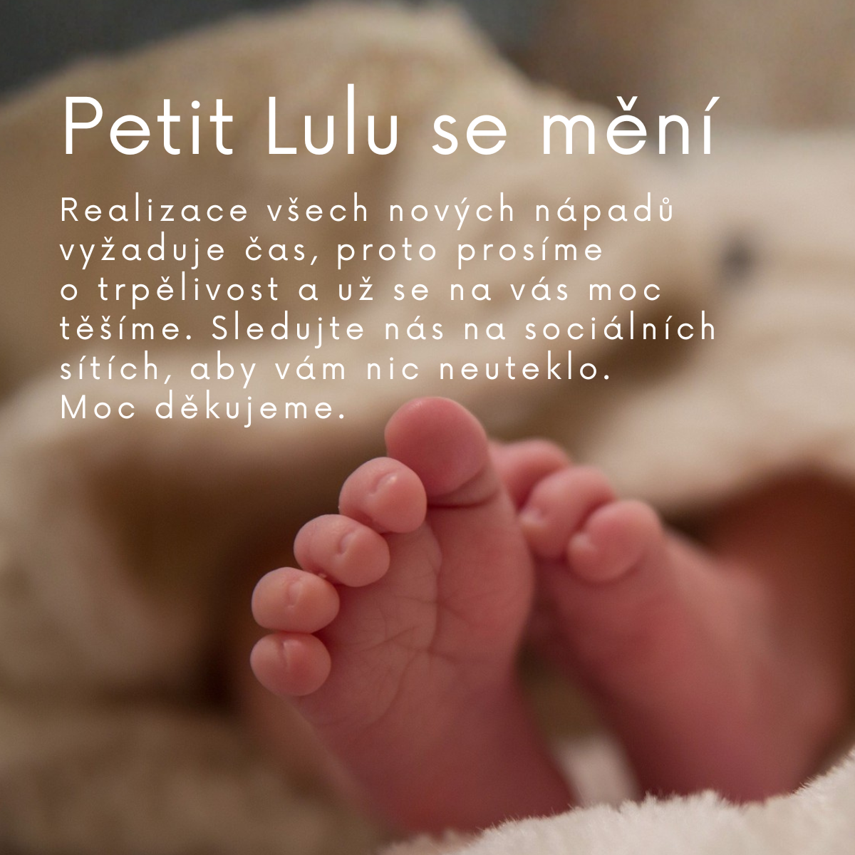 Uvodní 